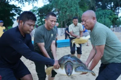 Pangdam II/Swj Didampingi Danrem 043/Gatam Lepas Kembali 7 Ekor Penyu Kehabitatnya